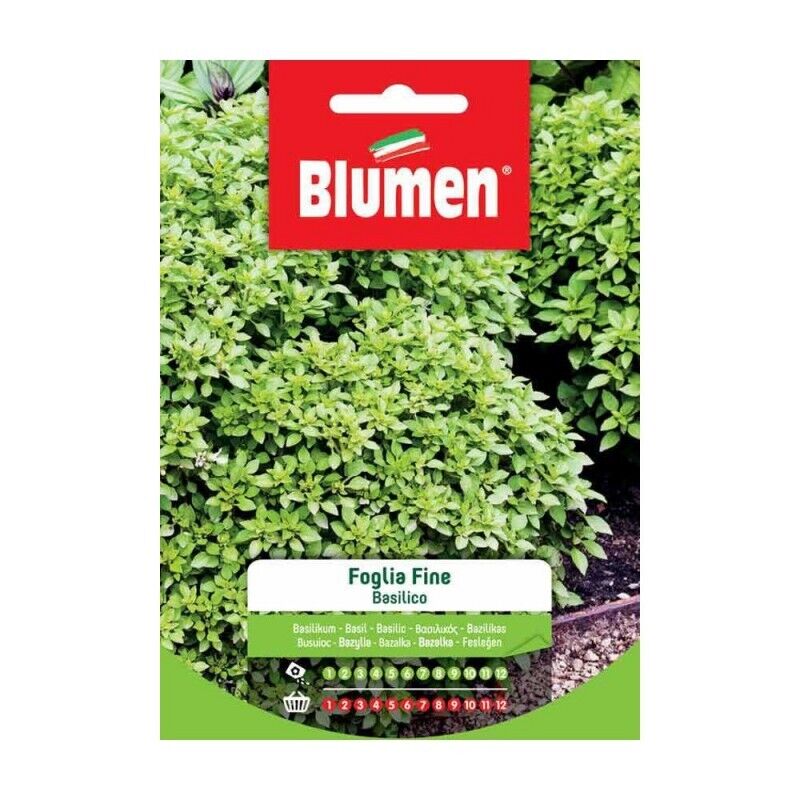 Blumen. Semi di basilico foglia fine