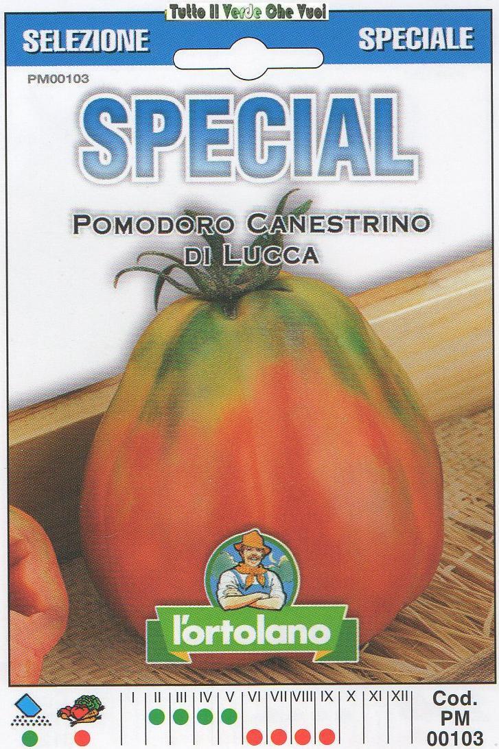 POMODORO CANESTRINO DI LUCCA - SPECIAL-SPECIAL L'ORTOLANO