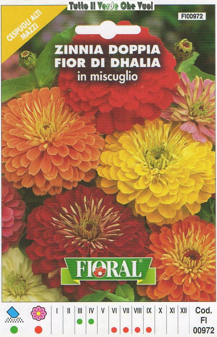 FLORAL- BUSTA SEMENTI ZINNIA DOPPIA FIOR DI DHALIA - CESPUGLI ALTI MAZZI