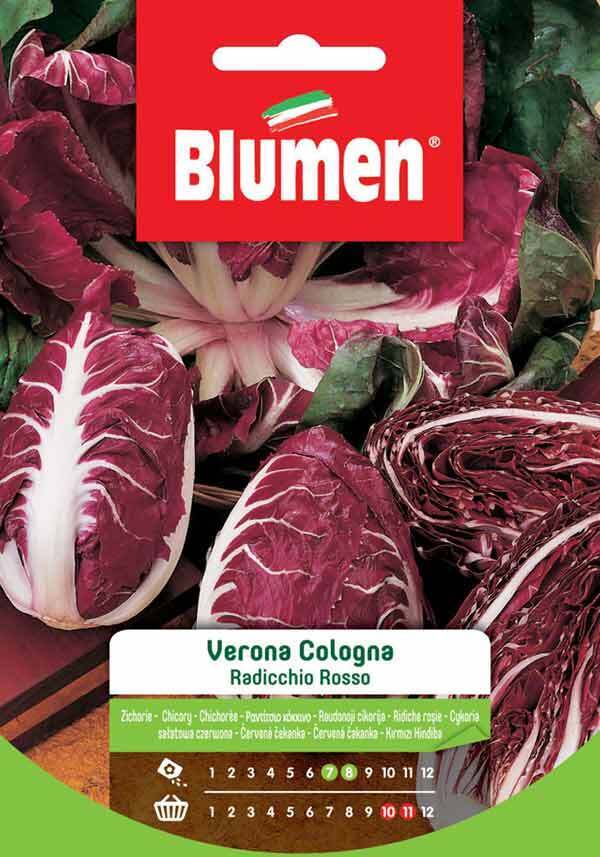 Blumen. Semi di Radicchio Rosso Verona Cologna