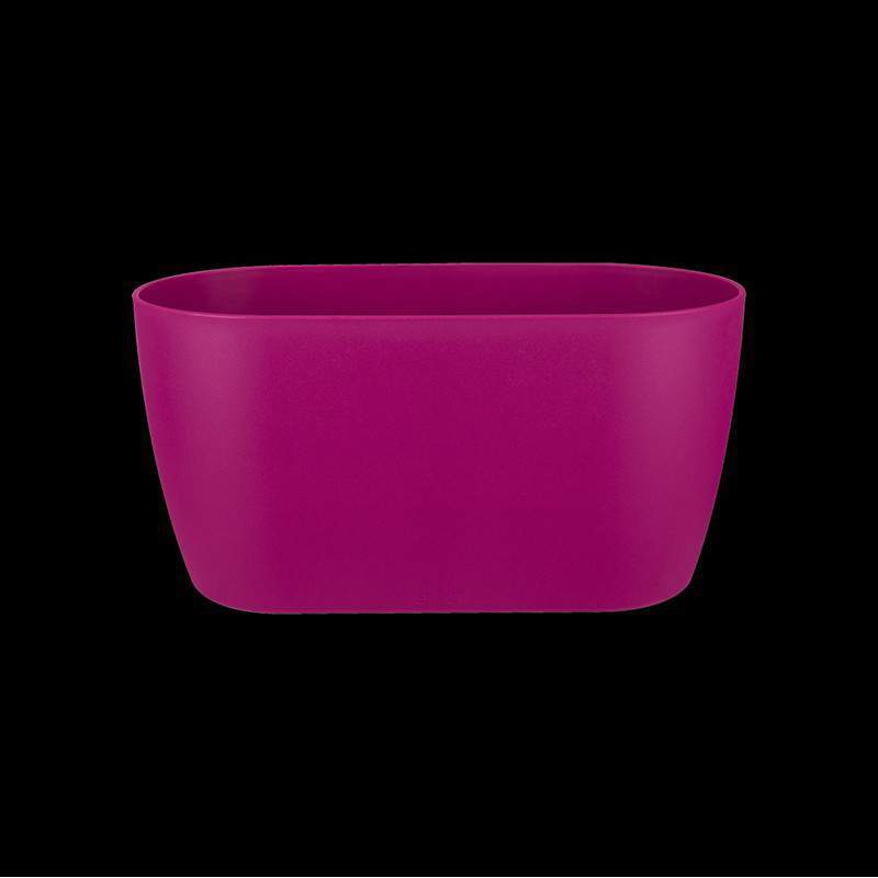 BRUSSELS ORCHIDEE DUO 25CM CHERRY