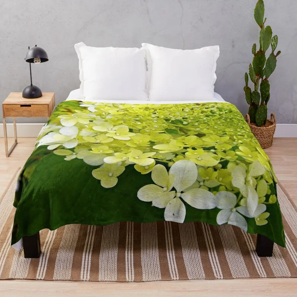 Elegante Chartreuse Green Limelight Ortensia Macro Coperta Coperte E Coperte Di Halloween