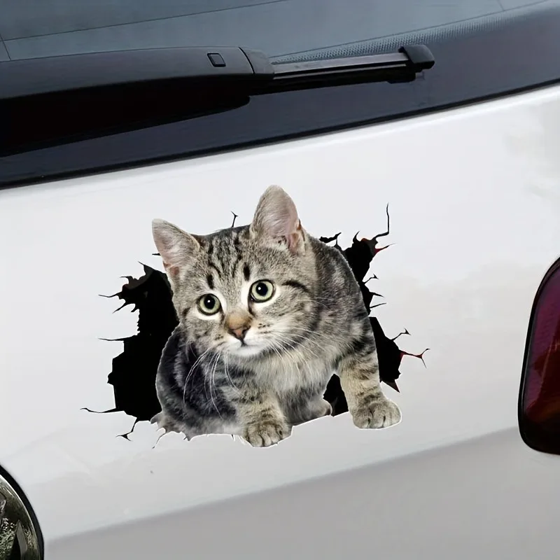 Decalcomania Adesiva 3D Cat-Materiale Pvc, Resistente Ai Graffi, Per Veicoli Fuoristrada, Auto, Moto, Rimorchio, Finestre, Laptop