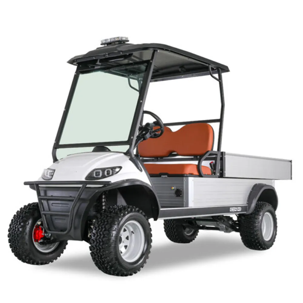 48V 60V 5Kw Motore A Corrente Alternata E Controller Club Car Li Batterie Ruote In Alluminio Carrelli Da Golf Elettrici