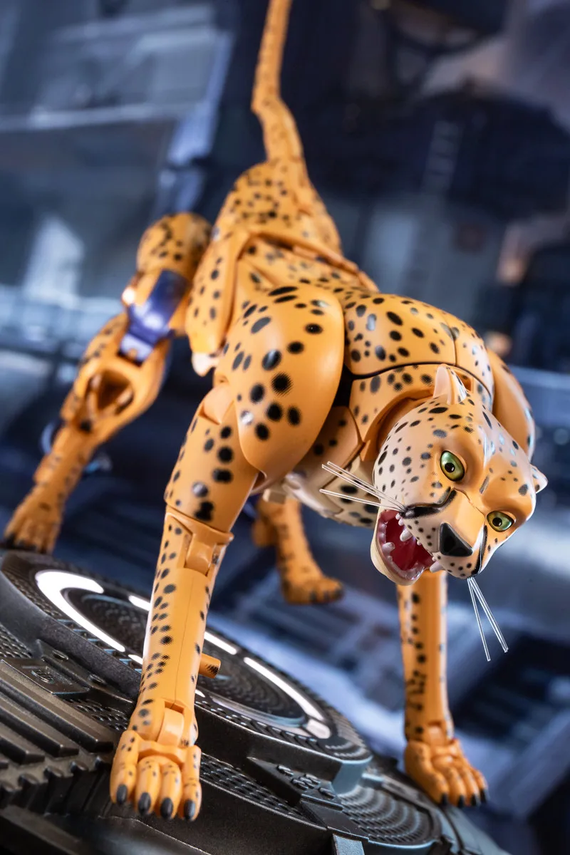 Trasformazione Bw Beast Wars Bw11 Bw-11 Cheetor Ko Mp34 Action Figure Con Scatola