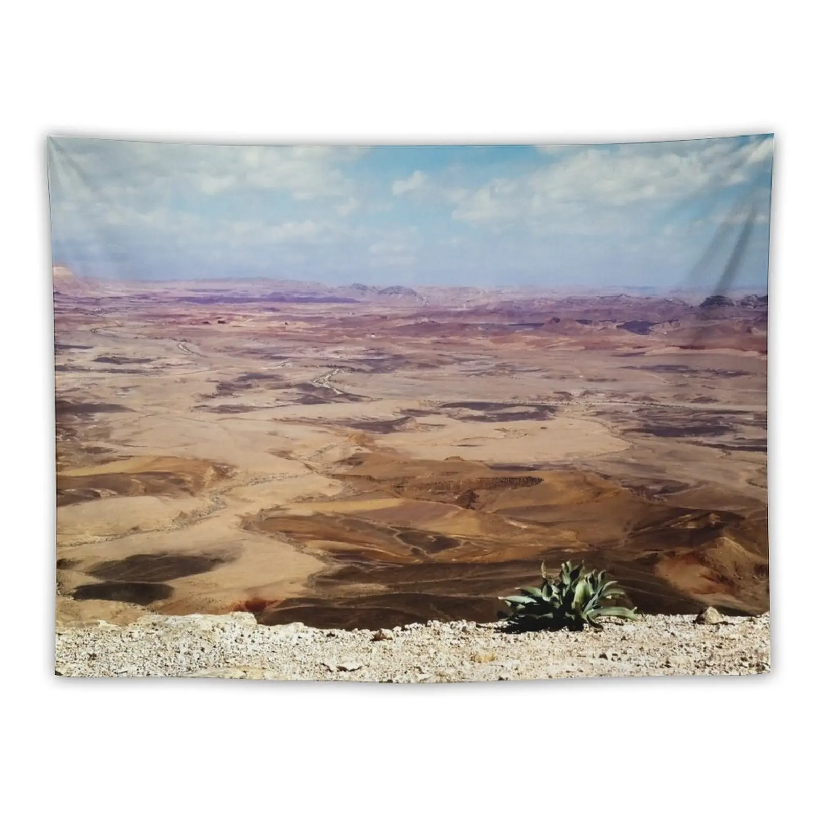 Israele, Mitzpe Ramon. Pianta A Ramon Crater. Arazzo Decorazioni Per La Stanza Cose Estetiche Per La Stanza