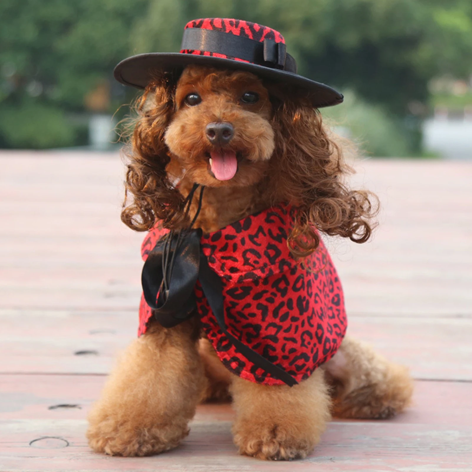Puppy Dog Cat Clothes Cape Copricapo Mantello Coulisse Pet Hat Adorabile Pet Cape Dog Costume Hat Set Funny Dog Clothes Parrucca Per Cani