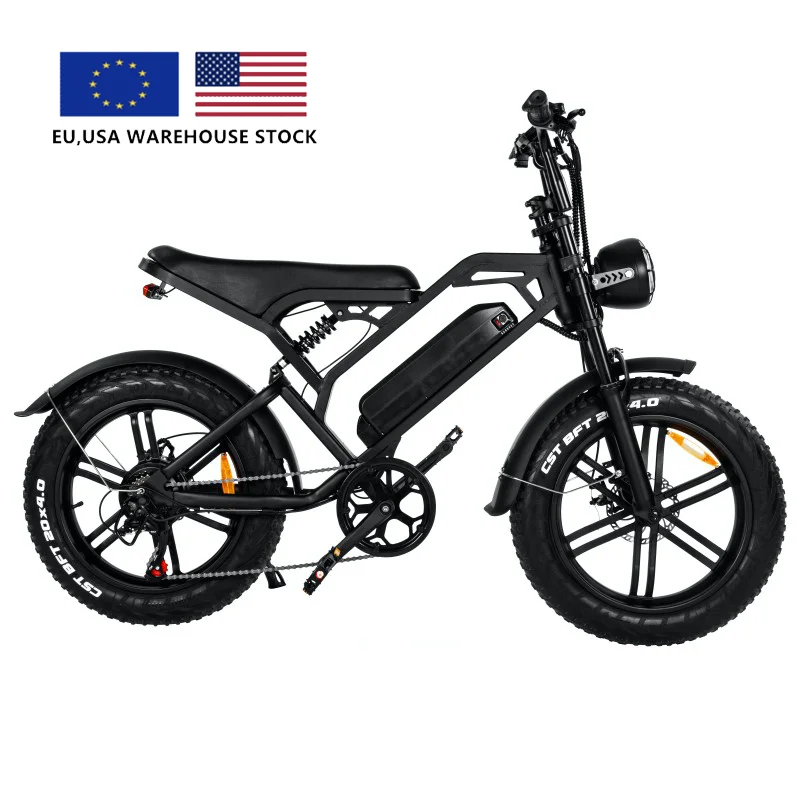 Us Eu Warehouse Stock Bicicleta Electrica Retro E-Bike 750W Motor 45 Km/H 20 Pollici Off Road E Bike Fat Tire Bicicletta Elettrica