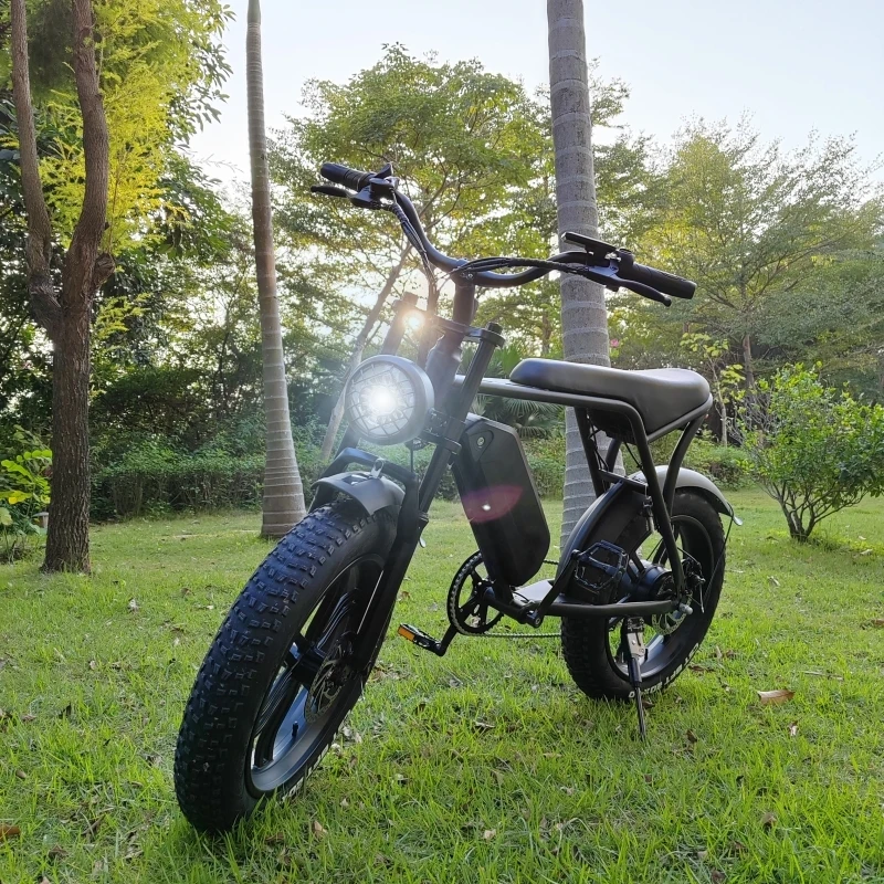 Usa Eu Magazzino Grasso Pneumatico Bicicletta Elettrica 20 Pollici Ouxi V8 Dirt E-Bike Prezzo Di Fabbrica 1000W Motore 15Ah Batteria Fuoristrada Fatbi