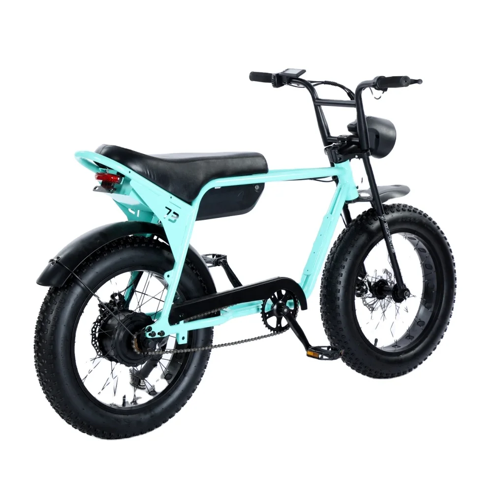Nuovo Arrivo 48V 13Ah 1000W Bici Elettrica Per Pneumatici Grassi E Bici Con Batteria Rimovibile Bicicletta Elettrica Bici Elettrica