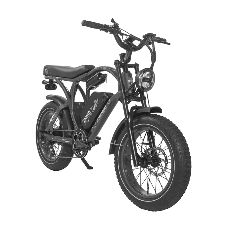 Potente 20 Pollici 48V 15Ah Lithium Mountain Ebike Electric Fat Tire Bike Road Bicicletta Elettrica