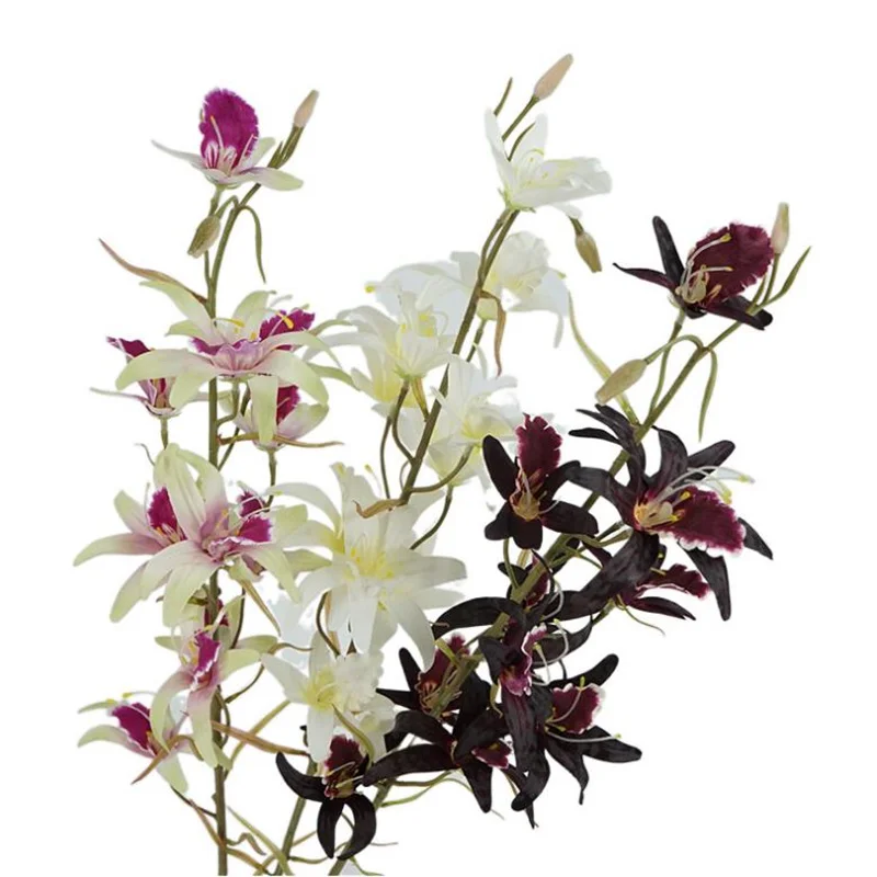 Un Finto Stelo Singolo Dendrobium 31 "Simulazione Di Lunghezza Cymbidium Hybridum Per Fiori Artificiali Decorativi Per La Casa Di Nozze