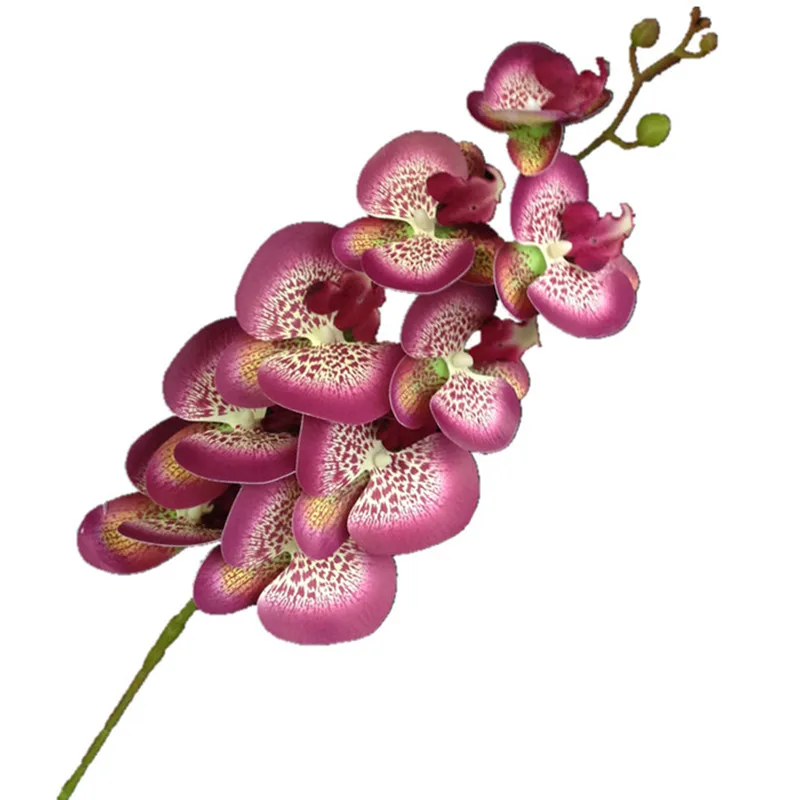 One Real Touch Butterfly Orchid Flower Falso Cymbidium Pu Phalaenopsis Orchidee 28 Colori Per Fiori Decorativi Artificiali