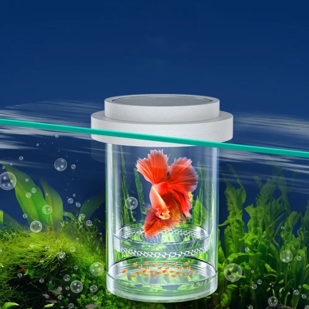 Scatola Da Cova Galleggiante In Plastica Incubatrice Da Cova Per Acquario Scatola Da Allevamento Guppy Bianca Maglia Fine/Grossa
