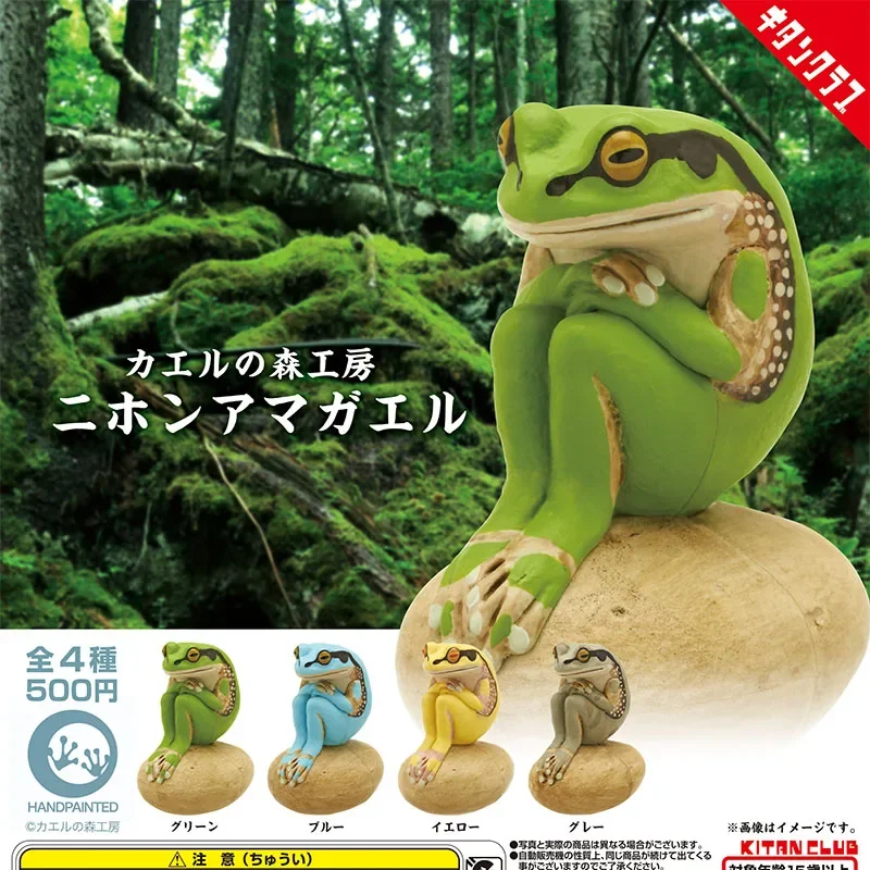 Giapponese Genuino Modello In Scala Gacha Hyla Postulata Rana Seduta Su Pietra Simulazione Decorazione Del Giardino Action Figure Toy