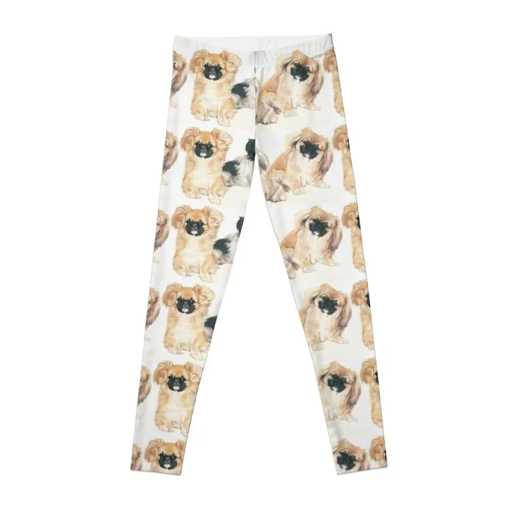 Pekingese Puppies Leggings Donna Sportwear Harem Pants For Girls Gym Top Leggings Da Donna