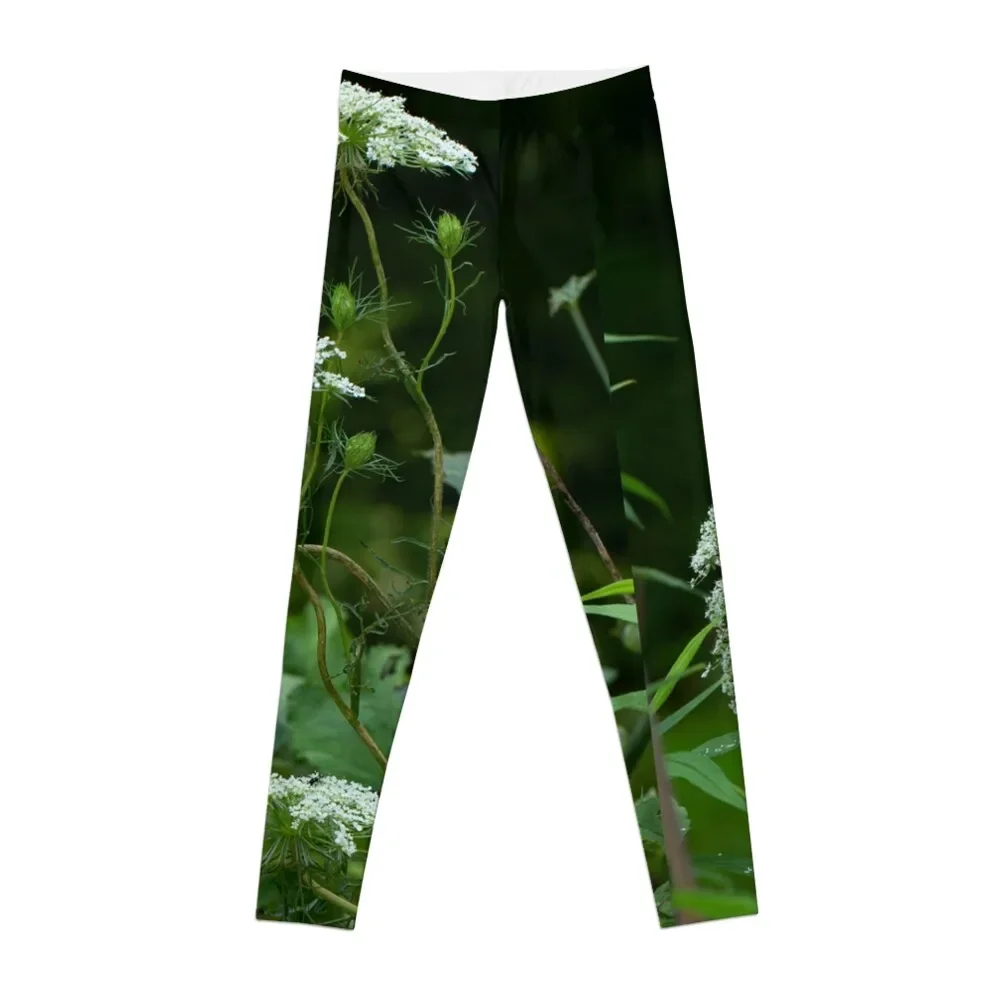 Queen Anne'S Lace Wildflower-Ducus Carota Leggings Per Fitness Jogger Pants Abbigliamento Fitness Leggings Da Donna