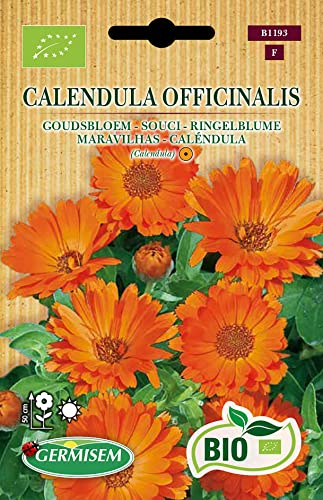 Germisem Biologico Calendula Officinalis Semi Di Calendula 2 G