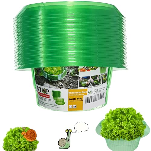 Vdyxew 20 Pezzi Di Protezione Contro Le Lumache | Collare Per Le Vostre Piante Da Insalata E Cavolo | Repellente Per Lumache Senza Prodotti Chimici |