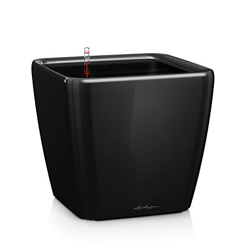 Lechuza Quadro Premium Ls 43 Nero Lucido 16189