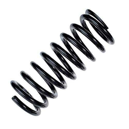 Sospensione Posteriore R10275 Ricambio