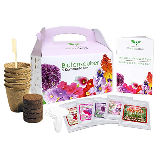 Set Regalo Floreale Magic - 5 Continent Box - Un'Idea Regalo Originale Per Praticamente Ogni Occasione