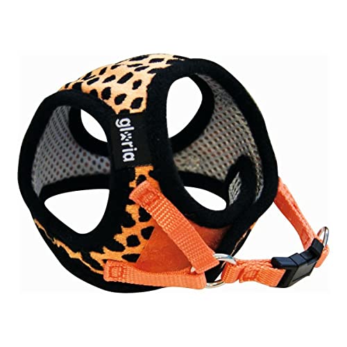 Gloria - Harness/Abito Da Leopardo - 150 G