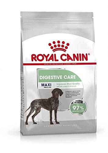 Royal Canin Ccn Digestive Care Maxi - Dry Food For An Adult Dog - 3 Kg