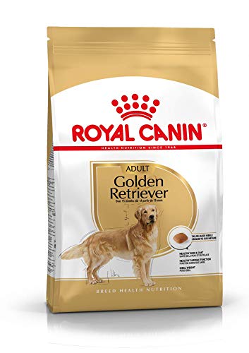 Royal Canin Golden Retriever Secco Cane Kg. 3 - Mangimi Secchi Per Cani