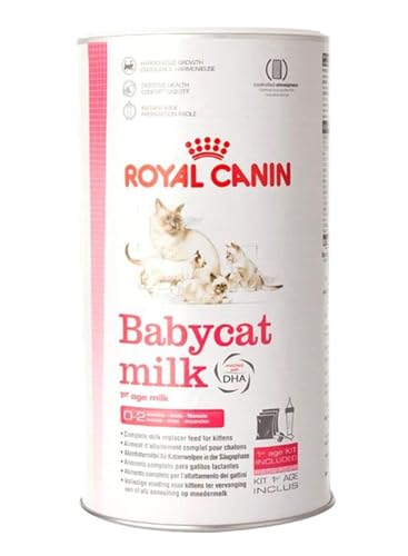 Royal Canin C-58410 Baby Cat Latte - 300 Gr
