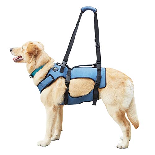 Coodeo Imbracatura Per Ascensori Per Cani, Imbracatura Di Supporto E Recupero, Gilet Di Riabilitazione Per Animali Domestici Cinghie Traspiranti Regol