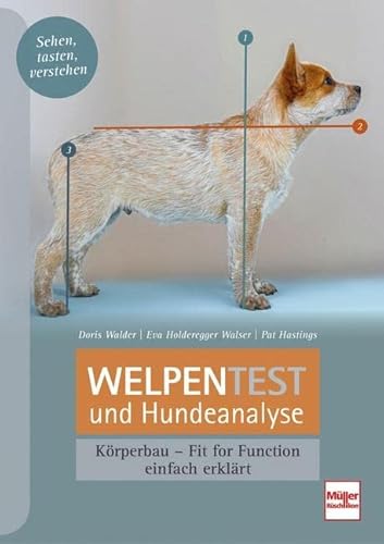 Welpentest Und Hundeanalyse: Körperbau - Fit For Function - Einfach Erklärt