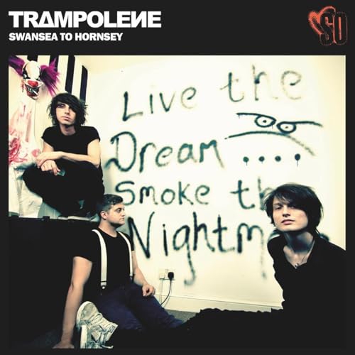 Swansea To Hornsey (Anniversary Edition) (Red Vinyl)