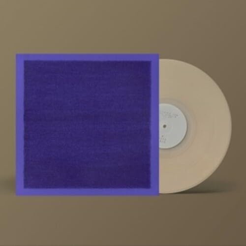 Invisible Room - Transparent White Vinyl