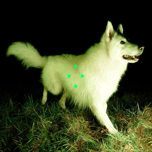 Compare What’S There [Vinyl]