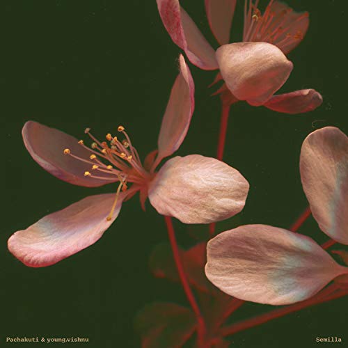 Semilla Pachakuti & Young.Vishnu Lp