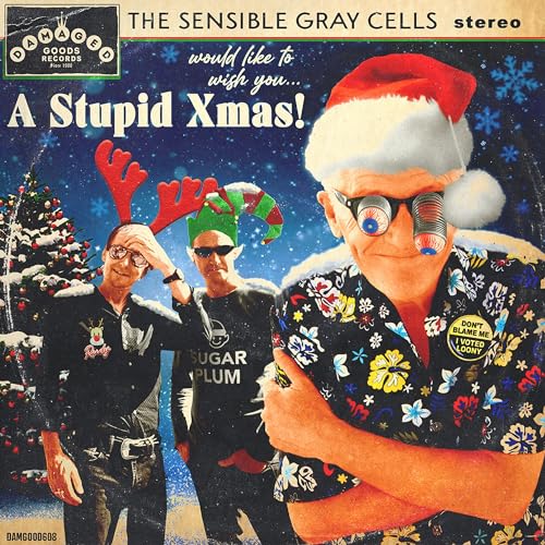 A Stupid Xmas C/W Keep It To Yourself [7" Vinyl]