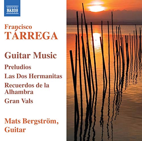 Musica Per Chitarra: Preludi, Recue