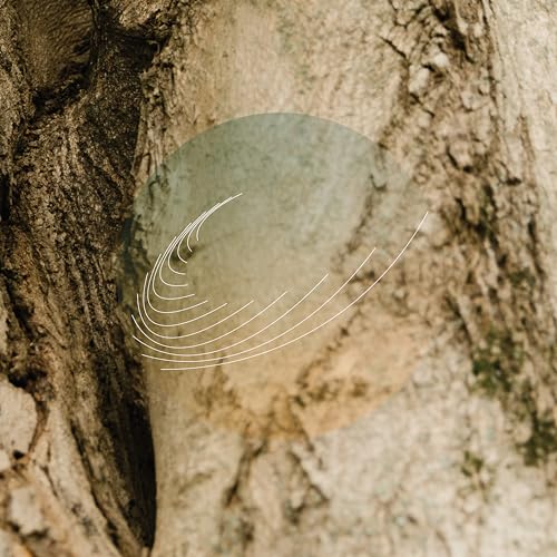 Maples, Ash, And Oaks Cedars Instrumentals