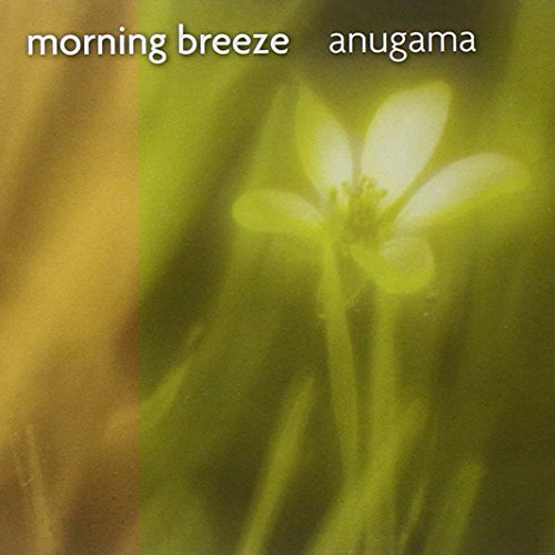Morning Breeze