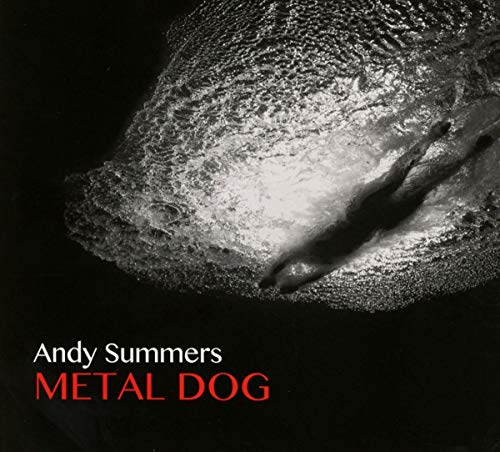Metal Dog