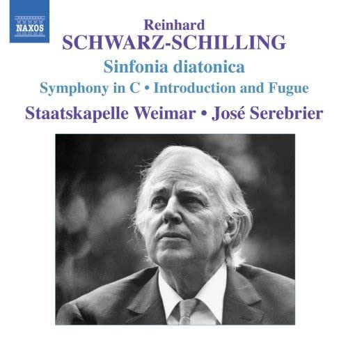 Sinfonia Diatonica, Sinfonia In Do
