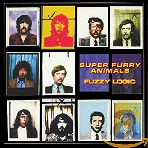 Fuzzy Logic (20Th Anniversary Deluxe Edt.)