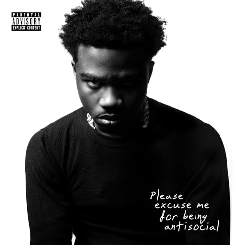 Please Excuse Me For Being Antisocial (Vinyl Transparent)