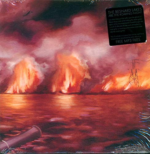 Besnard Lakes And The Roaring Night