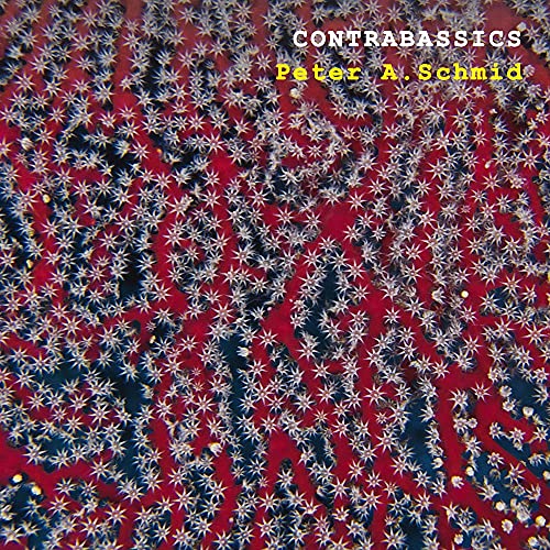 Contrabassics