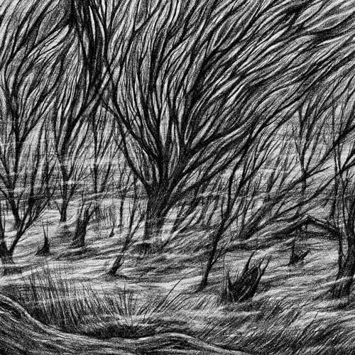The Eternal Marshes