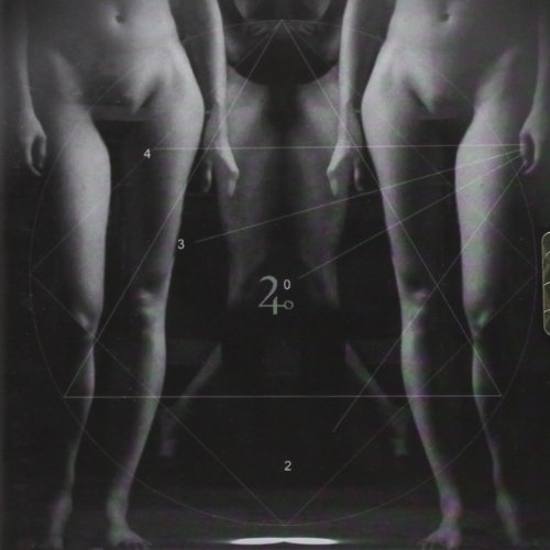 Numeri E Figure