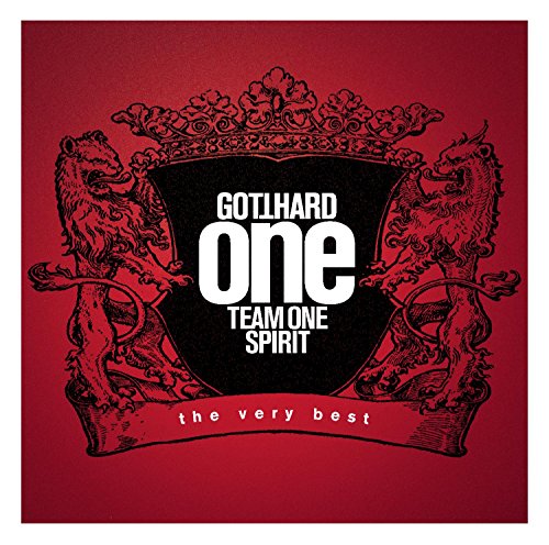 One Team One Spirit