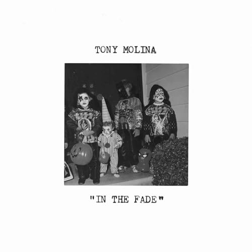 In The Fade (Gold Vinyl)